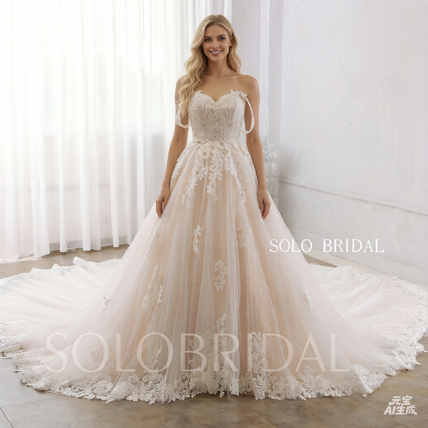Blush Luxury Sparkly Lace Off Shoulder 2022 New Wedding Dress Royal Train DPP_0075
