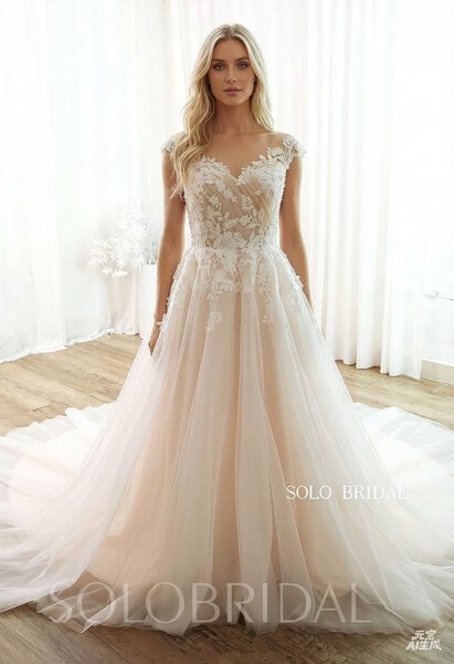 Blush A line Light Wedding Dress DPP_0001