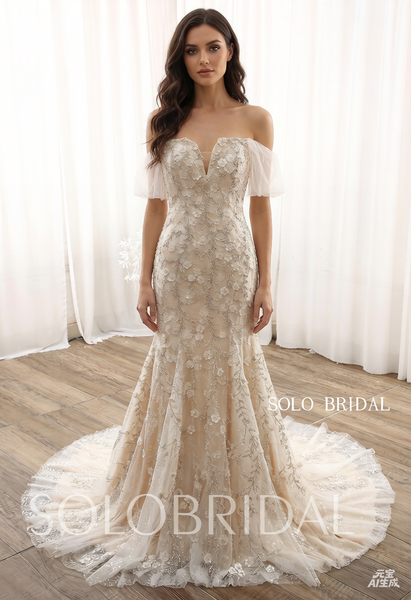 Champagne Fit and Flare Overskirt Heavy Beading Wedding Dress DPP_0016
