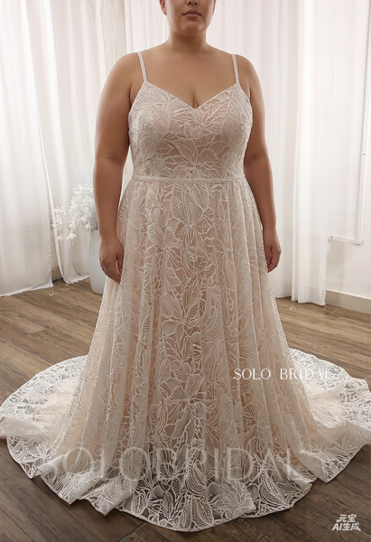 Blush A line Lace Plus size Court Train Wedding Dress DPP_0091