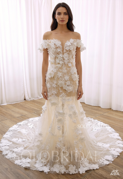 Skin Color Off Shoulder Seen Through Fit and Flare Wedding Dress 724A3619