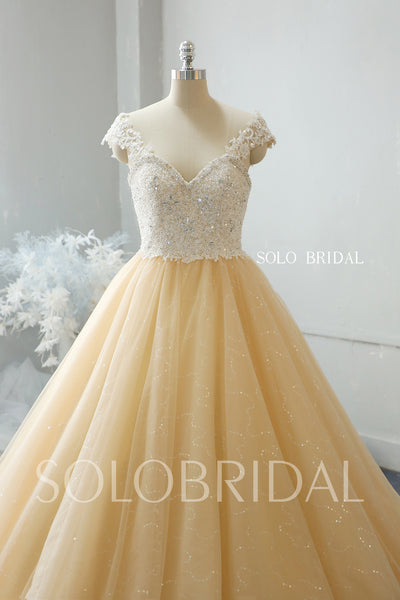 Champagne shiny ball gown wedding dress 724A2194