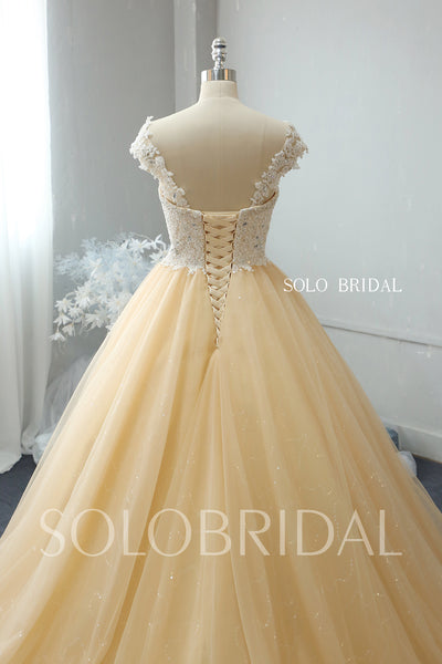 Champagne shiny ball gown wedding dress 724A2194