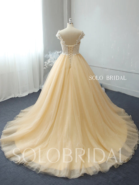 Champagne shiny ball gown wedding dress 724A2194