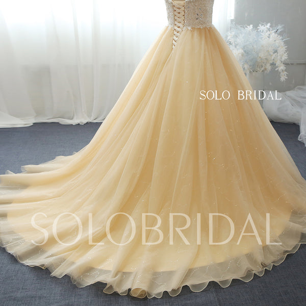 Champagne shiny ball gown wedding dress 724A2194
