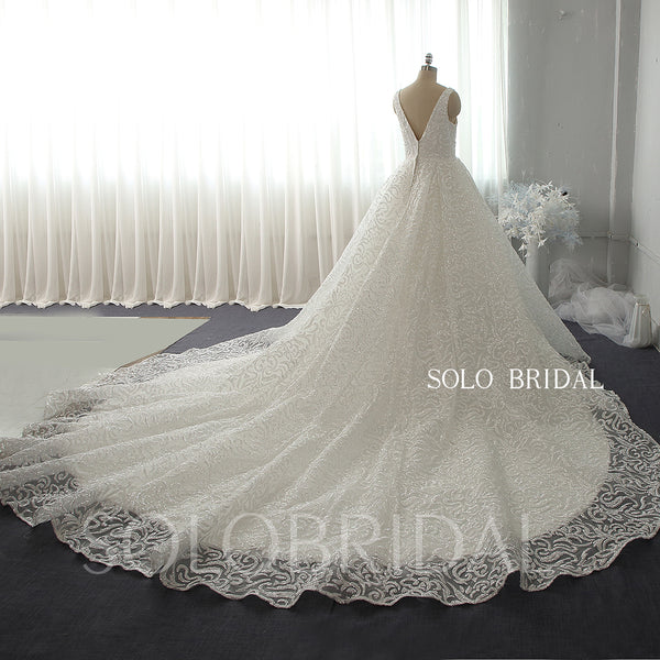 Ivory luxury Big A line shiny wedding gowns with long train 724A6162a