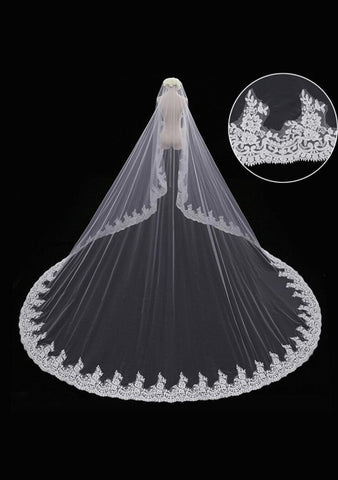 Beautiful Long Cathedral Veil with Lace at the Edge