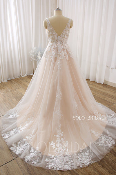 Blush A Line V Neck Sleeveless Court Train Wedding Dress DPP_000a