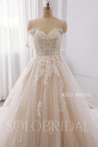 Blush Luxury Sparkly Lace Off Shoulder 2022 New Wedding Dress Royal Train DPP_0075