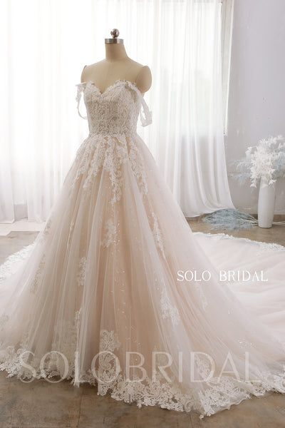 Blush Luxury Sparkly Lace Off Shoulder 2022 New Wedding Dress Royal Train DPP_0075