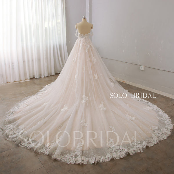 Blush Luxury Sparkly Lace Off Shoulder 2022 New Wedding Dress Royal Train DPP_0075