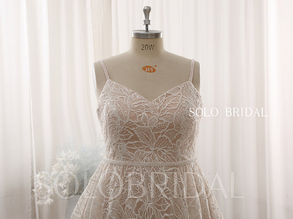 Blush A line Lace Plus size Court Train Wedding Dress DPP_0091