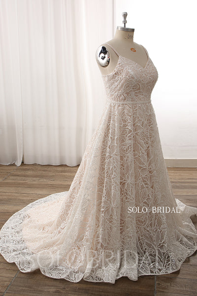 Blush A line Lace Plus size Court Train Wedding Dress DPP_0091