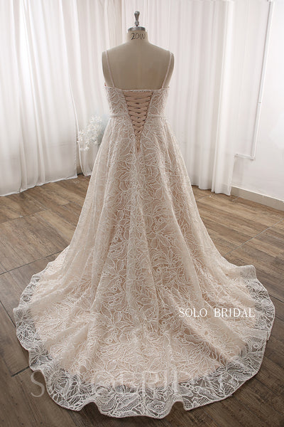 Blush A line Lace Plus size Court Train Wedding Dress DPP_0091