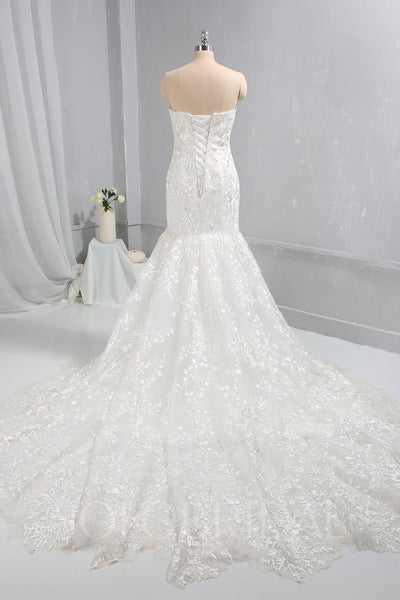 Ivory with Champagne Lace Wedding Dress with Cathedral Train